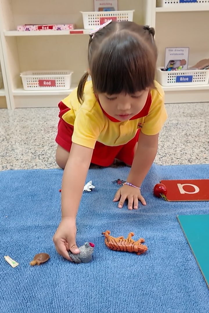 LittleSparks classroom moment